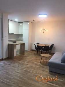 Izdaje se kompletno i kvalitetno namesten dvosoban stan u Novom Sadu na Podbari